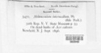 Image Associated With the Occurence